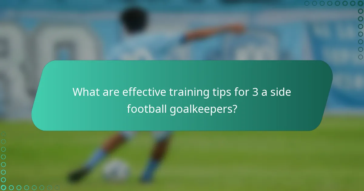 What are effective training tips for 3 a side football goalkeepers?